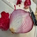 Red Onion by dkellogg