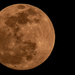 Tonght's Moon Shot! by rickster549
