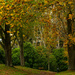 Autumn Colour by yorkshirekiwi