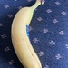B Is for Banana  by spanishliz