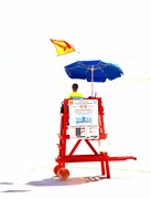 5th May 2023 - Lifeguard 