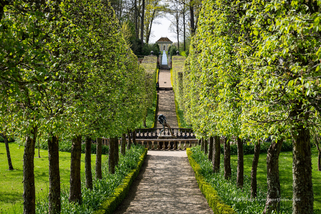 Path through the garden by nigelrogers