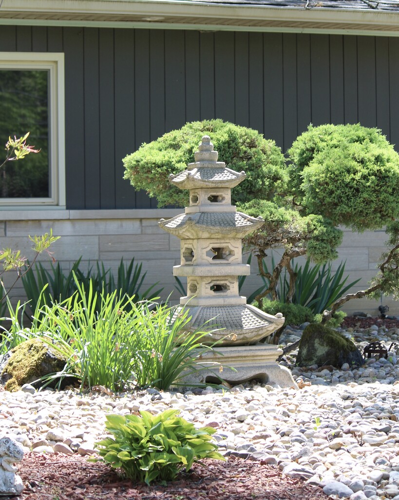 A small area of my neighbor's Zen garden by essiesue