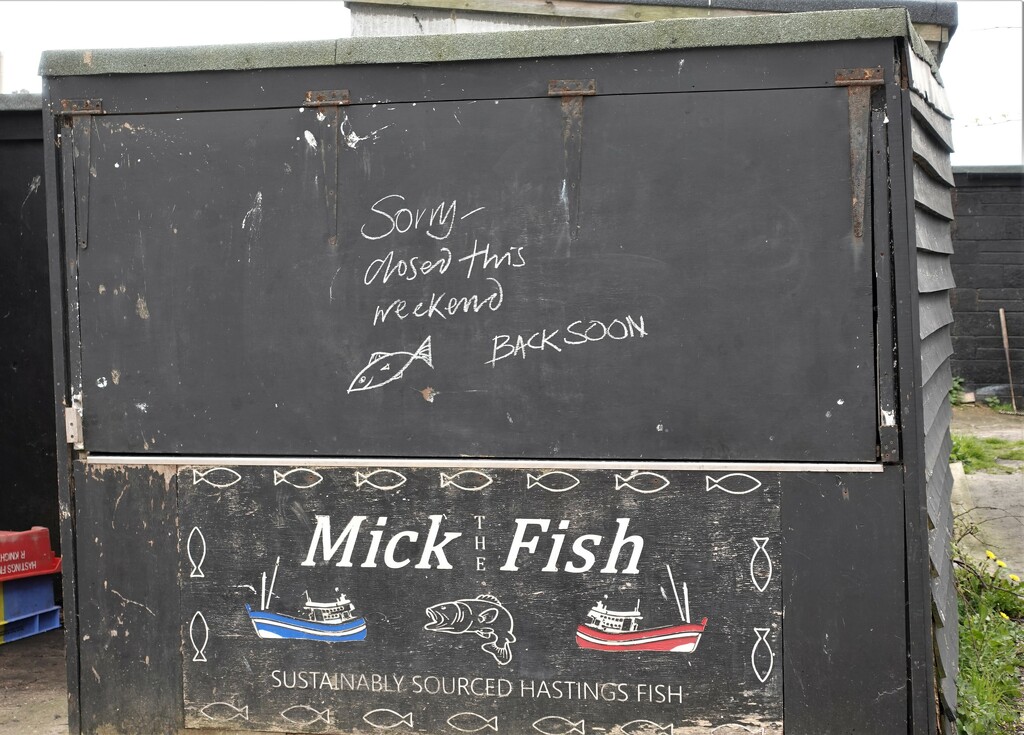 Mick the Fish by jenbo