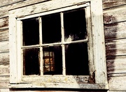 5th May 2023 - Window in a Window 