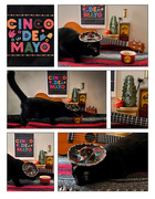 5th May 2023 -  Cinco De Mayo cat fun