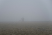 6th May 2023 - Into The Mist