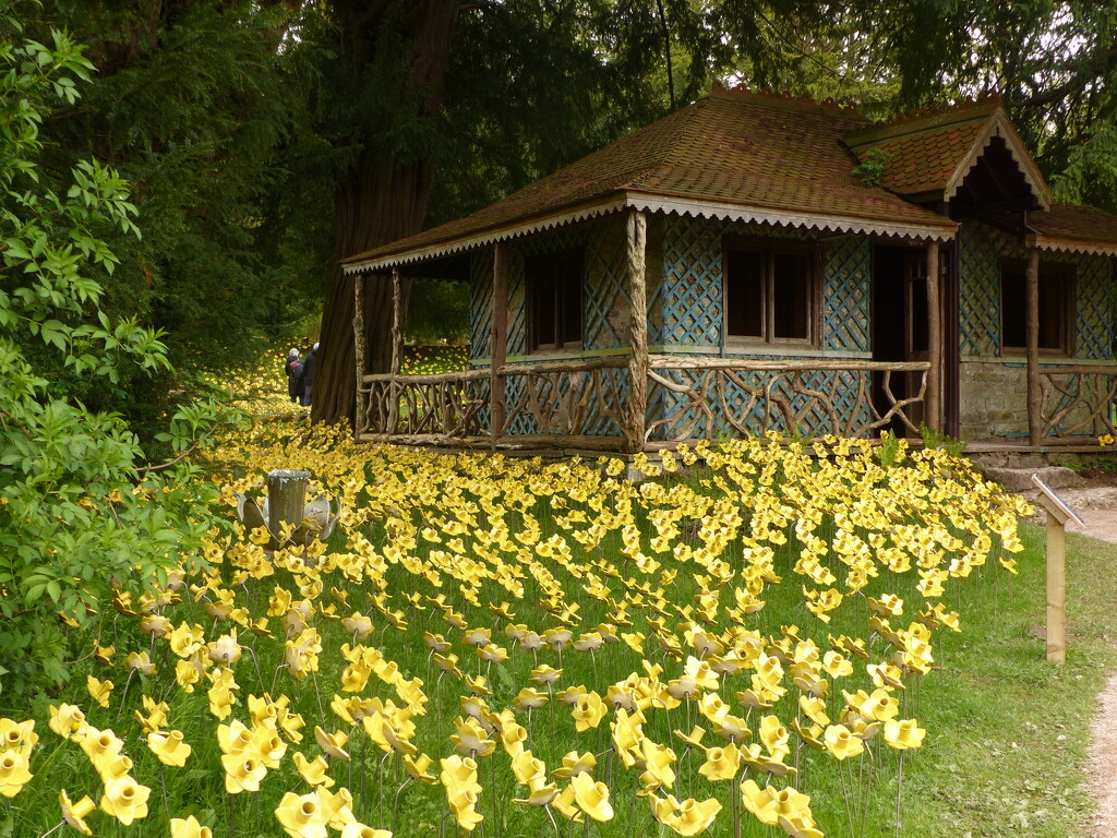 Ceramic Daffodils  by shirleybankfarm