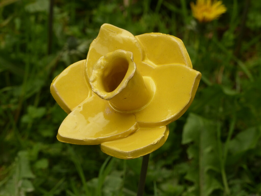 Close up of one of the ceramic daffodils by shirleybankfarm