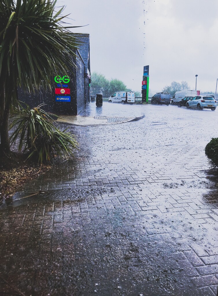 Rainy Day by manek43509