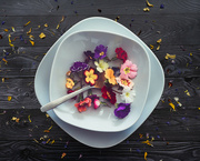 6th May 2023 - A feast for the senses: edible flowers