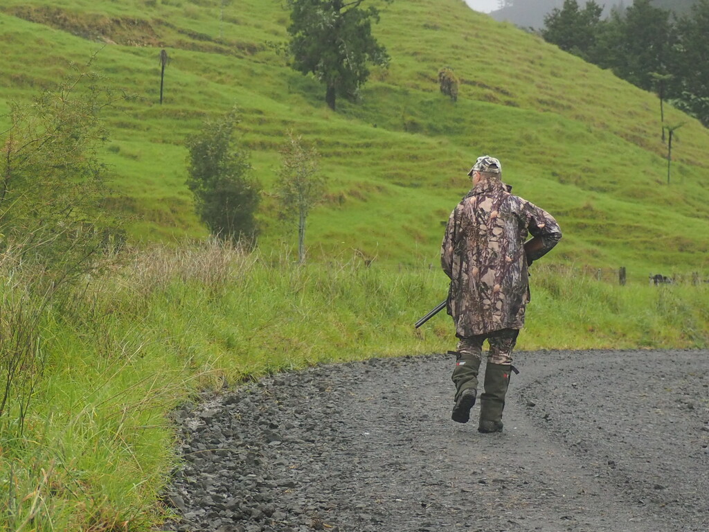 Opening morning of duck shooting , Keith heading into forestry blocks for a shoot  by Dawn