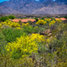 The "Oro" in Oro Valley, AZ ~ Part 2 by 365projectorgbilllaing