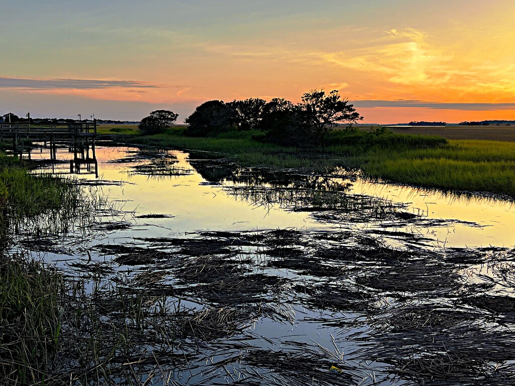 High tide marsh sunset by congaree