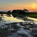 High tide marsh sunset by congaree