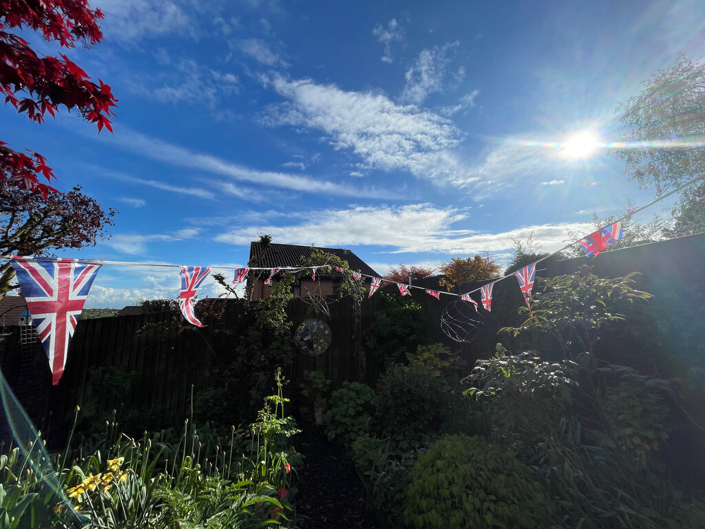 Bunting's Up by 365projectmaxine