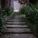Up the garden path... by dkbarnett