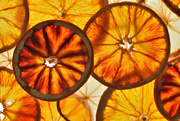 4th May 2023 - Dried citrus