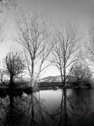 3rd May 2023 - Lake Wardell Reflections