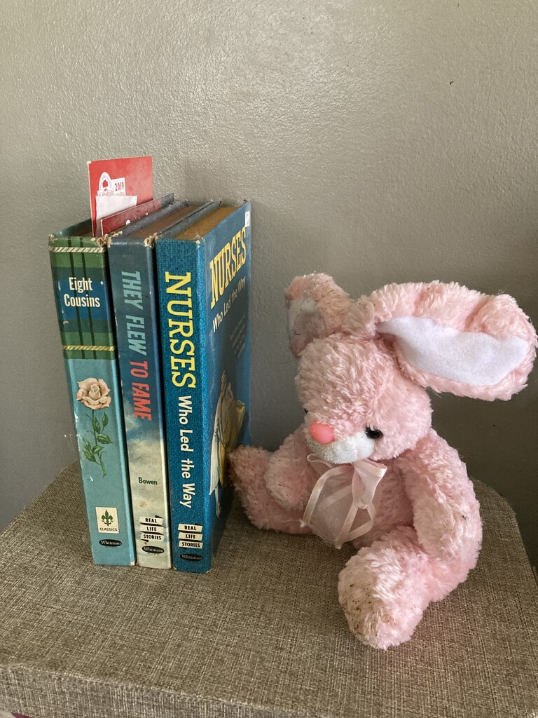 B Is for Books and Bunny  by spanishliz