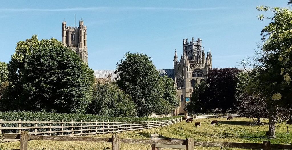 Ely Cathedral  by g3xbm