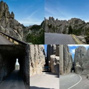 3rd May 2023 - The Needles Highway
