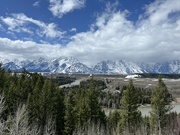 7th May 2023 - Grand Teton National Park, Wyoming