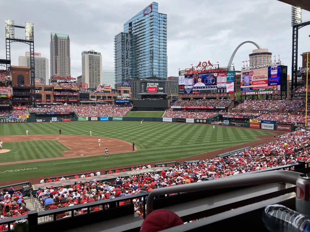 St. Louis Cardinals vs Detroit Tigers  by illinilass