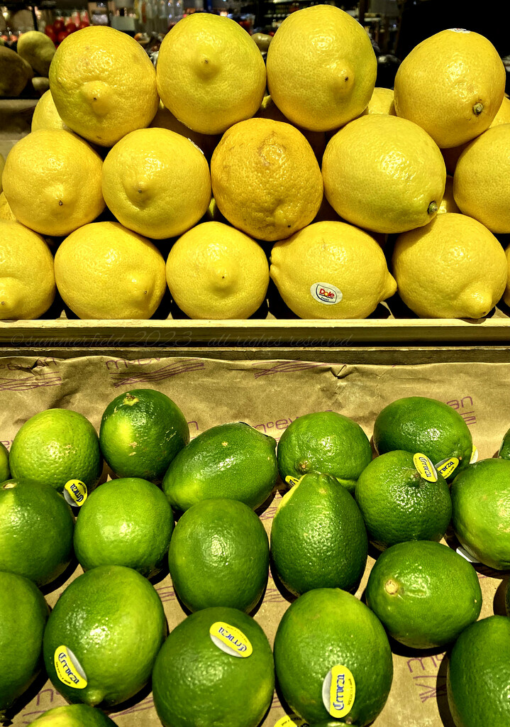 lemons and limes by summerfield