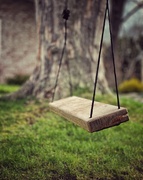 8th May 2023 - The Swing