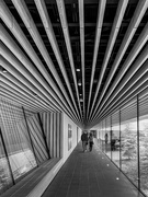 6th May 2023 - Entrance corridor, Audain Art Museum, Whistler 