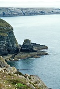 9th May 2023 - South stack cliffs.........