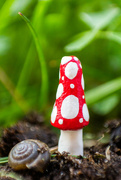 9th May 2023 - 'Shroom and her Buddy