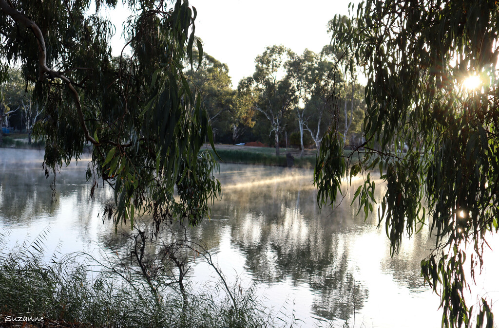 Morning mist on the Murray by ankers70
