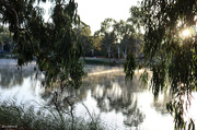 10th May 2023 - Morning mist on the Murray
