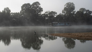 10th May 2023 - 128.1 - Houseboat, Fog and Bird