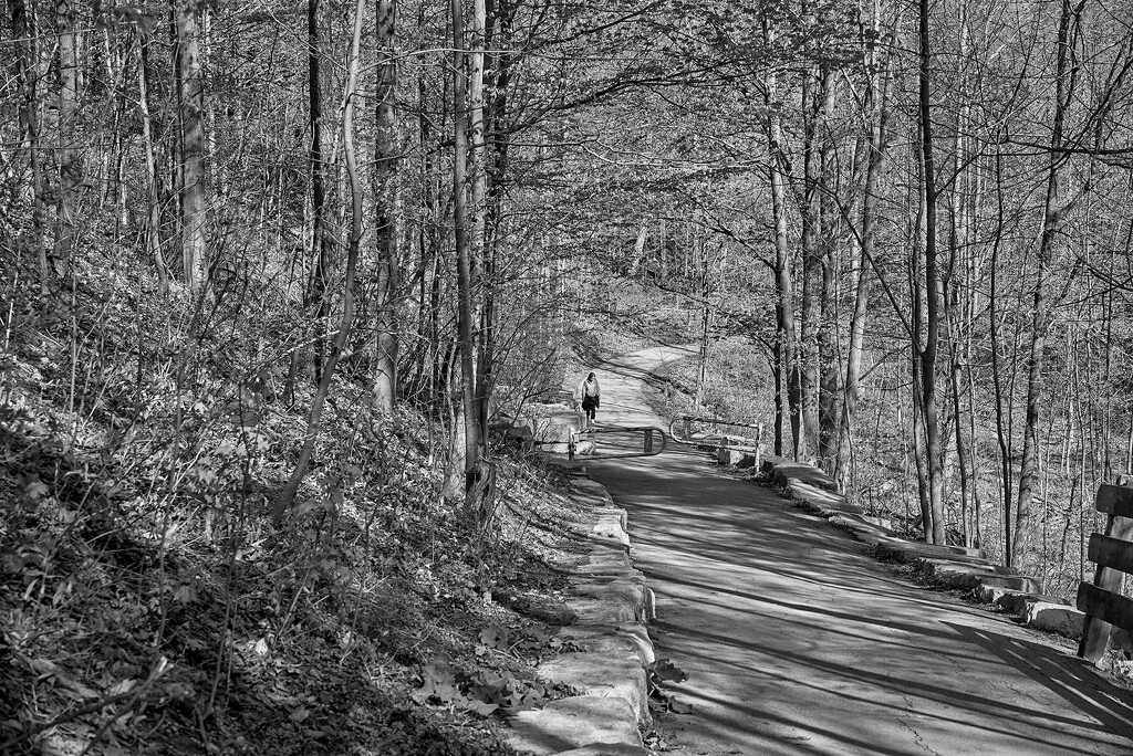 A Long Climb by gardencat