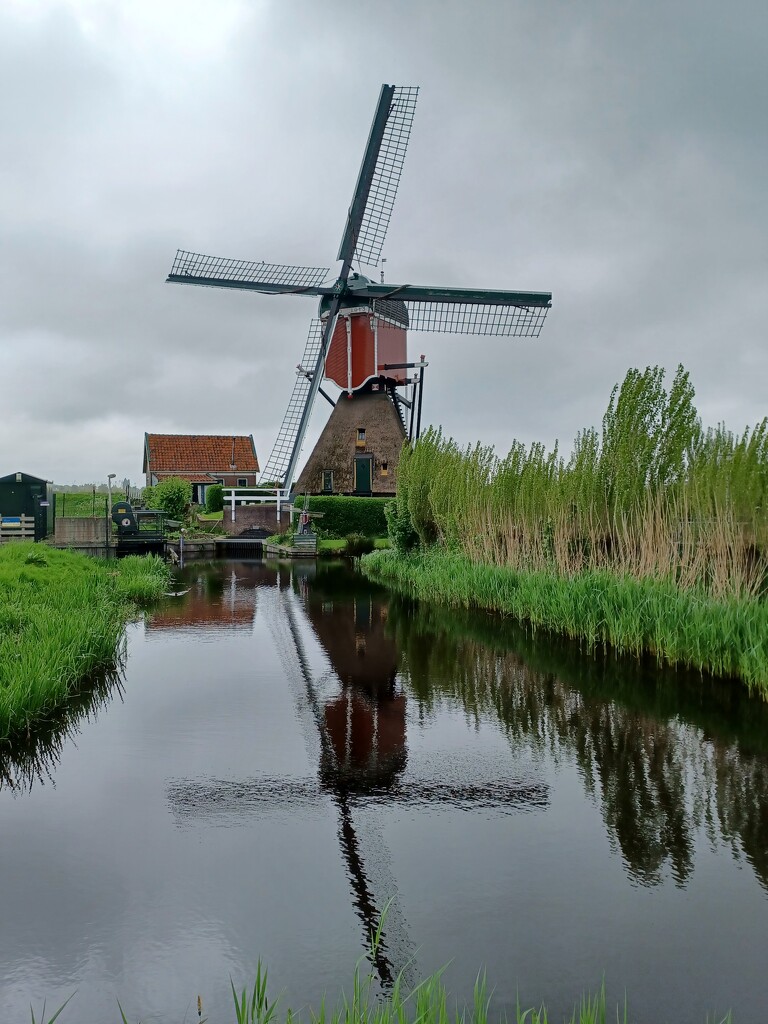 Dutch mill by busylady