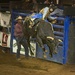 LHG_2569Bull rider with bull off all fours by rontu