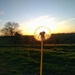 Clocking the Sunset by 30pics4jackiesdiamond