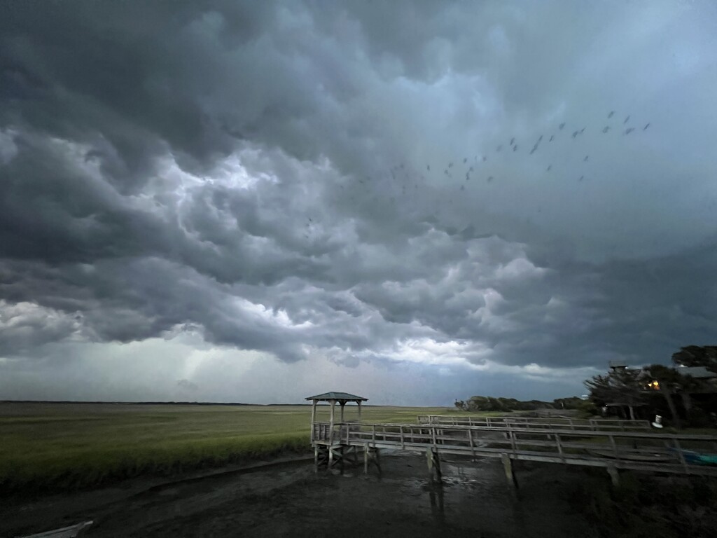 Storm over the marsh by congaree