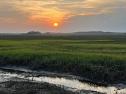 11th May 2023 - Marsh sunset