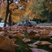 Autumn leaves by dkbarnett