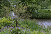 11th May 2023 - by the pond at Mount Grace Priory
