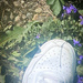 Mar 7 2023 - Shoes by jojo13