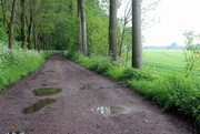 11th May 2023 - The old dike (road) 