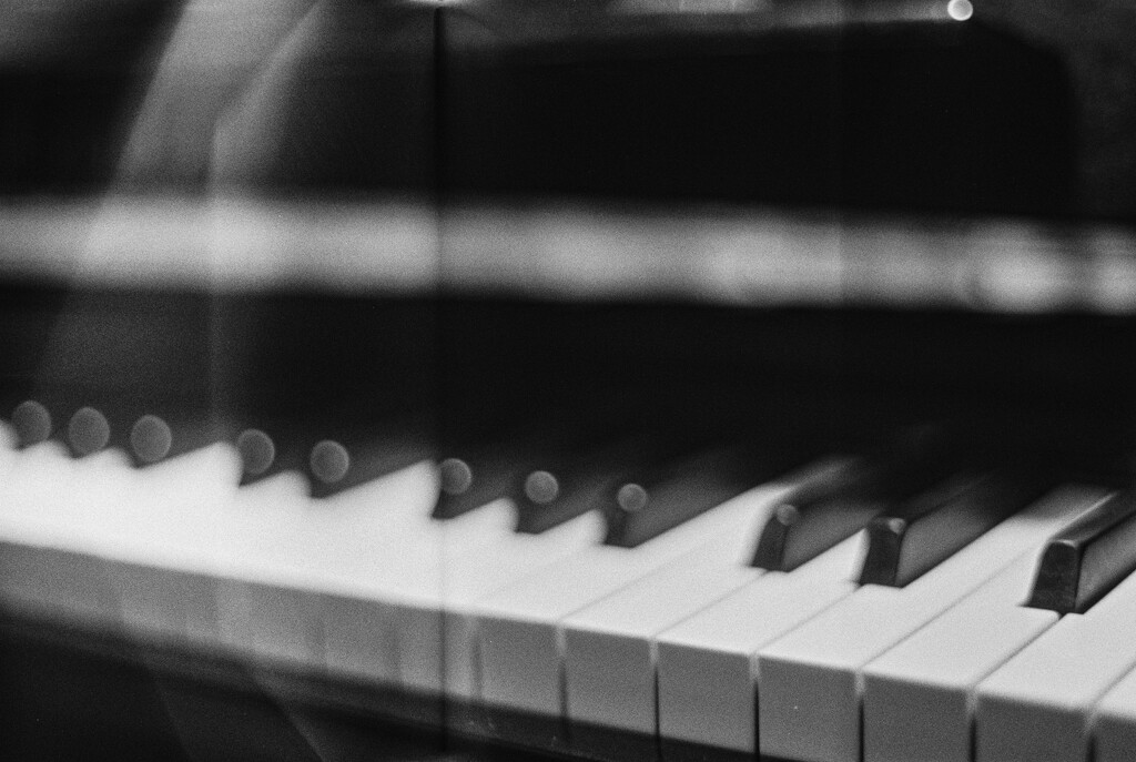 Piano Keys by manek43509