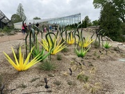 12th May 2023 - More Chihuly 