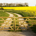Gateway to Spring by shepherdman