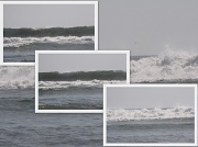 31st Jan 2011 - WAVES